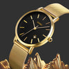 SKMEI 1530 Fashion Europe And America Simple Business Women Wristwatch Elegant Thin Female Student Quartz Watch(Gold)