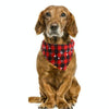 Christmas Dog Towel, Green, Large (L) - Absorbent & Festive