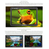 FEELWORLD LUT11 10.1 inch Ultra High Bright 2000nit Touch Screen DSLR Camera Field Monitor, 4K HDMI Input Output 1920 x 1200 IPS Panel(US Plug)