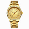 FNGEEN S777 Men Gold-Plated Diamond Zodiac Pattern Quartz Watch(Steel Belt)
