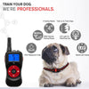 Dog Training Collar, 2 Dogs, 800m Remote, IPX7 Waterproof (Orange)