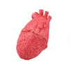 Popular Funny Halloween Props Fake Heart