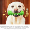 Dog Squeaky Chew Toy with Tooth Cleaning, Floating, Green