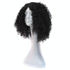 T191006 European and American Wig Headgear with Short and Small Curly Hair for Women (Black)