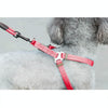 Dog Collar, Harness & Leash Set - Red - Medium - Up to 15kg