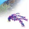 Purple Artificial Aquarium Plant 25cm - Fish Tank Ornament