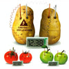 DIY Novel Green Science Potato Digital Clock Educational Kit with 2 inch LCD Screen (Potato NOT Included)(White)