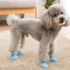 Silicone Dog Boots, Blue, M (4 PCS) - Waterproof Paw Protection