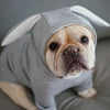 Grey Rabbit Ear Pet Sweatshirt, Small - Soft & Breathable