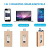 RQW-02 3 in 1 USB 2.0 & 8 Pin & Micro USB 128GB Flash Drive(Silver)