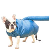 Pet Drying Box, M (5-12.5kg) - Fast, Quiet & Comfortable