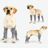 Waterproof Dog Leg Protectors, Grey, Medium (M)
