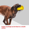 Suction Cup Dog Toy, Bite Resistant Squeaky Chew, Yellow