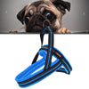 Reflective Dog Harness & Lead, Large, Blue (A7 Polyester)