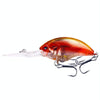 HENGJIA Rock Lure Small Fat Hard Bait Boxed Fake Bait(6)