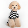 Halloween Skull Pet Sweater (XL) - Dog & Cat Costume