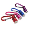 LED Pet Safety Light - Flashing Pendant for Dogs & Cats (Random Colour)