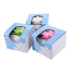 Lotus Ceramic Nano Spray Hydrating Aroma Humidifier Air Purifier(White Flower + White Body Ceramic)
