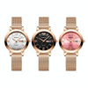 BINBOND B5907 Luminous Quartz Ladies Watch 30M Waterproof Calendar Steel Belt Watch(Black)