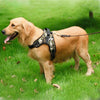 Dog Walking Chest Strap Harness XL Black - No Pull, Breathable