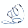 KAFULI Adjustable Dog Harness & Lead, M, Gradient Blue