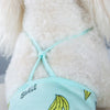 Dog Nappy - Banana Print, Breathable, Small (Green)