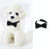 Black Bow Tie Cat & Dog Collar, Small, Adjustable 17-32cm