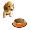 Orange Non-Slip Stainless Steel Pet Bowl, 25.5cm