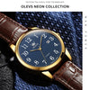OLEVS 5566 Men Simple Single Calendar Waterproof Quartz Watch(Blue)