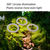LED Plant Growth Lamp Full Spectroscopy Intelligent Timing Indoor Fill Light Ring Plant Lamp, Power: Four Head(Red Blue Light)