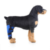 HJ19 Pet Surgery Rehabilitation Back Leg Protector Walking Aids, Size: M(Blue Right Back Leg)