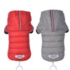 Waterproof Dog Coat, Grey XL - Warm Winter Jacket for Small/Medium Dogs