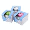 Lotus Ceramic Nano Spray Hydrating Aroma Humidifier Air Purifier(Green Flower + White Body Ceramic)