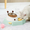 Elevated Cat Bowl Set with Waterer - Blue - Slow Feeder