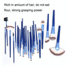 24 PCS / Set Beauty Makeup Brushes Tools Kit(Blue)