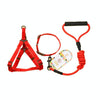Dog Collar, Harness & Leash Set - Red - Medium - Up to 15kg