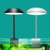 5W LED Aquarium Clip Light, USB, Blue-White, for 10-30cm Tanks