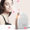 Hot and Cold Spray Fruit and Vegetable Steaming Face Device Nano Spray Water Replenishing Instrument Beauty Instrument, CN Plug(Rose Gold)