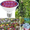 LED Plant Growth Lamp Floral Fill Light, Power: 126 Beads