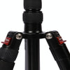 Triopo MT-2805C Adjustable Portable Aluminum Tripod (Gold) with NB-2S Ball Head (Black) for Canon Nikon Sony DSLR Camera