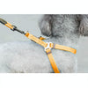 Dog Collar, Harness & Leash Set, Orange, M (15kg, 43-67cm Chest)