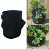 6 Pockets 26L / 7 Gallon Non-woven Felt Strawberry Planting Bag, Size: 30X35cm(Black)