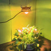 COB Plant Growth Light LED Vegetable Planting Succulent Light, Light:Sunligh(UK Plug 220V)