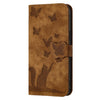 For Samsung Galaxy A36 5G Butterfly Cat Embossing Flip Leather Phone Case(Brown)