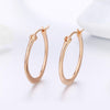 Personality Small Circle Earrings S925 Sterling Silver Female Zircon Earrings