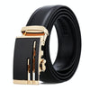 Dandali Casual Men Automatic Buckle Belt Business Soft Leather Pants Band, Length (cm): 110cm(ZD-20)