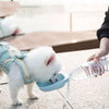 Portable Pet Water Bottle & Bowl - Blue (Dog & Cat)