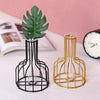 Wrought Iron Hydroponic Green Dried Flower Glass Flower Insert Decoration Without  Fake Flowers( Black)