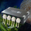 Jebao DP-4 Auto Dosing Pump 4-Channel 7.5W Aquarium US Plug