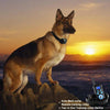 Anti Bark Collar for Dogs - Remote, Shock, Vibration & Sound Training